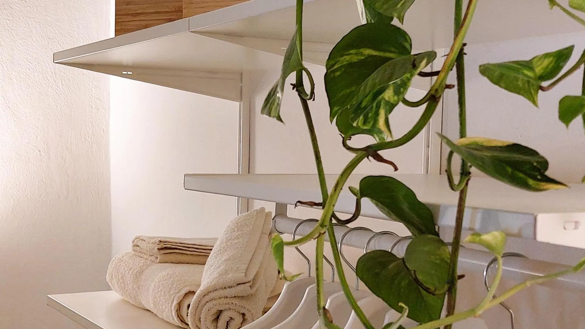 Casa Felce Apartment Palermo